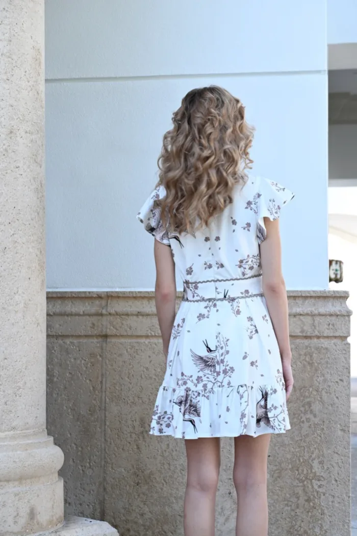 Afternoon in France Dress - Image 3