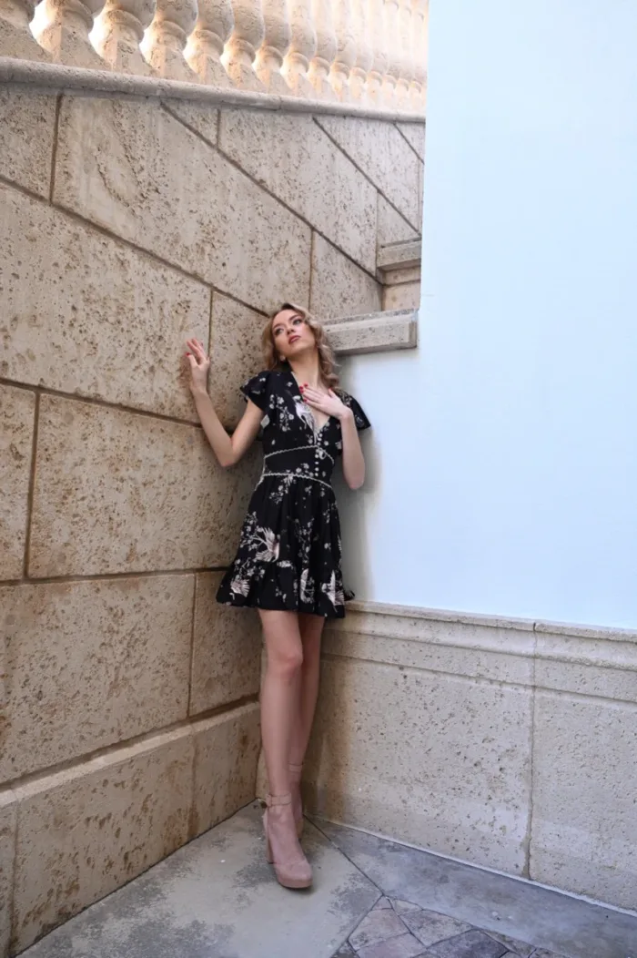 Afternoon in France Dress - Image 2